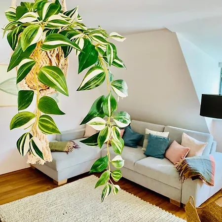 Traumwohnung - Direkt Am Marktplatz * Freudenstadt