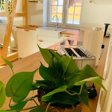 Traumwohnung - Direkt Am Marktplatz Apartment *
